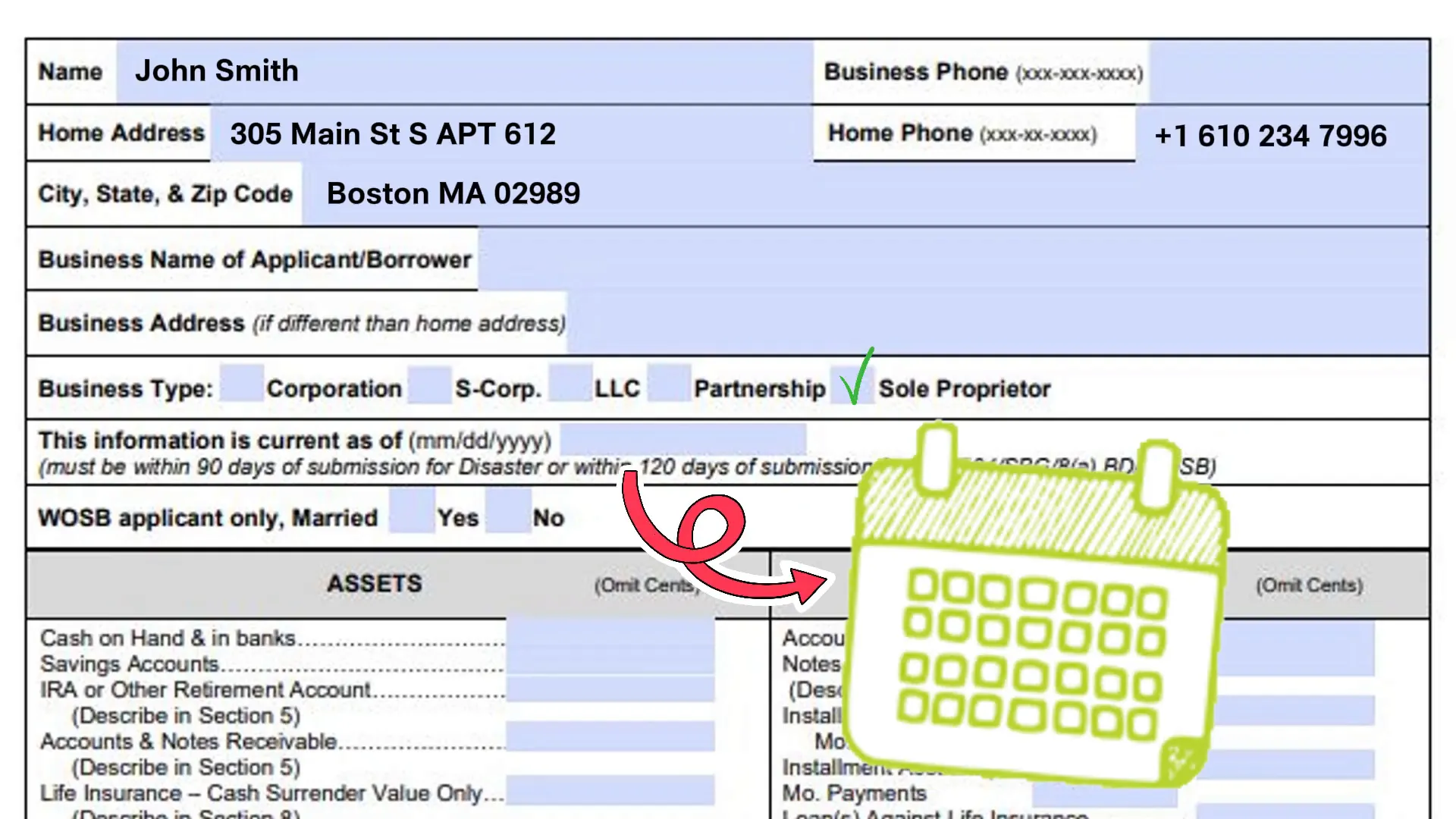 SBA Form 413 header and program selection