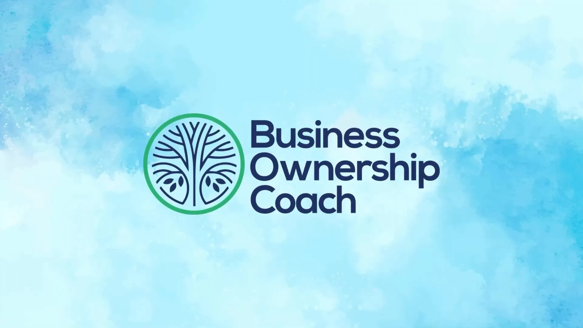 Business Ownership Coach website
